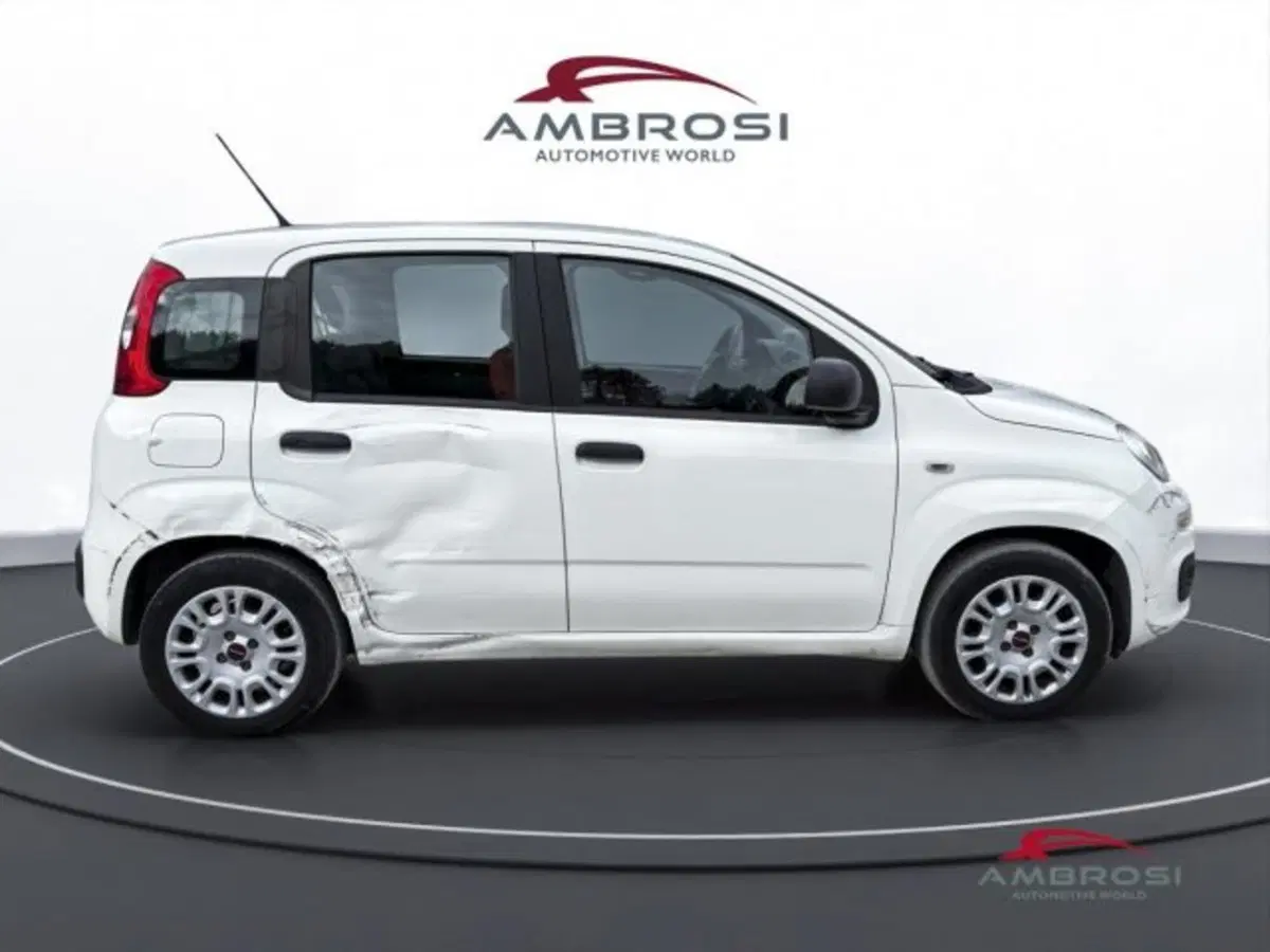 Fiat Panda usata a Perugia (5)