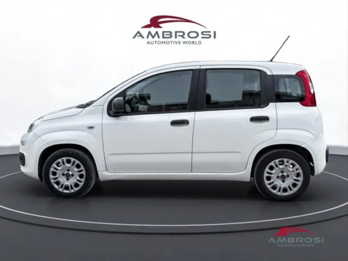 Fiat Panda usata a Perugia (6)