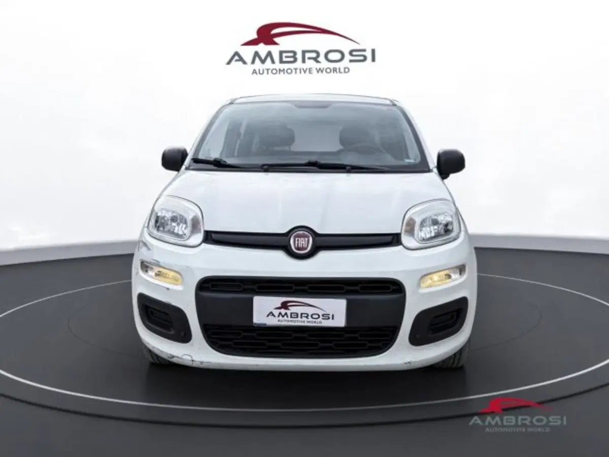 Fiat Panda usata a Perugia (7)