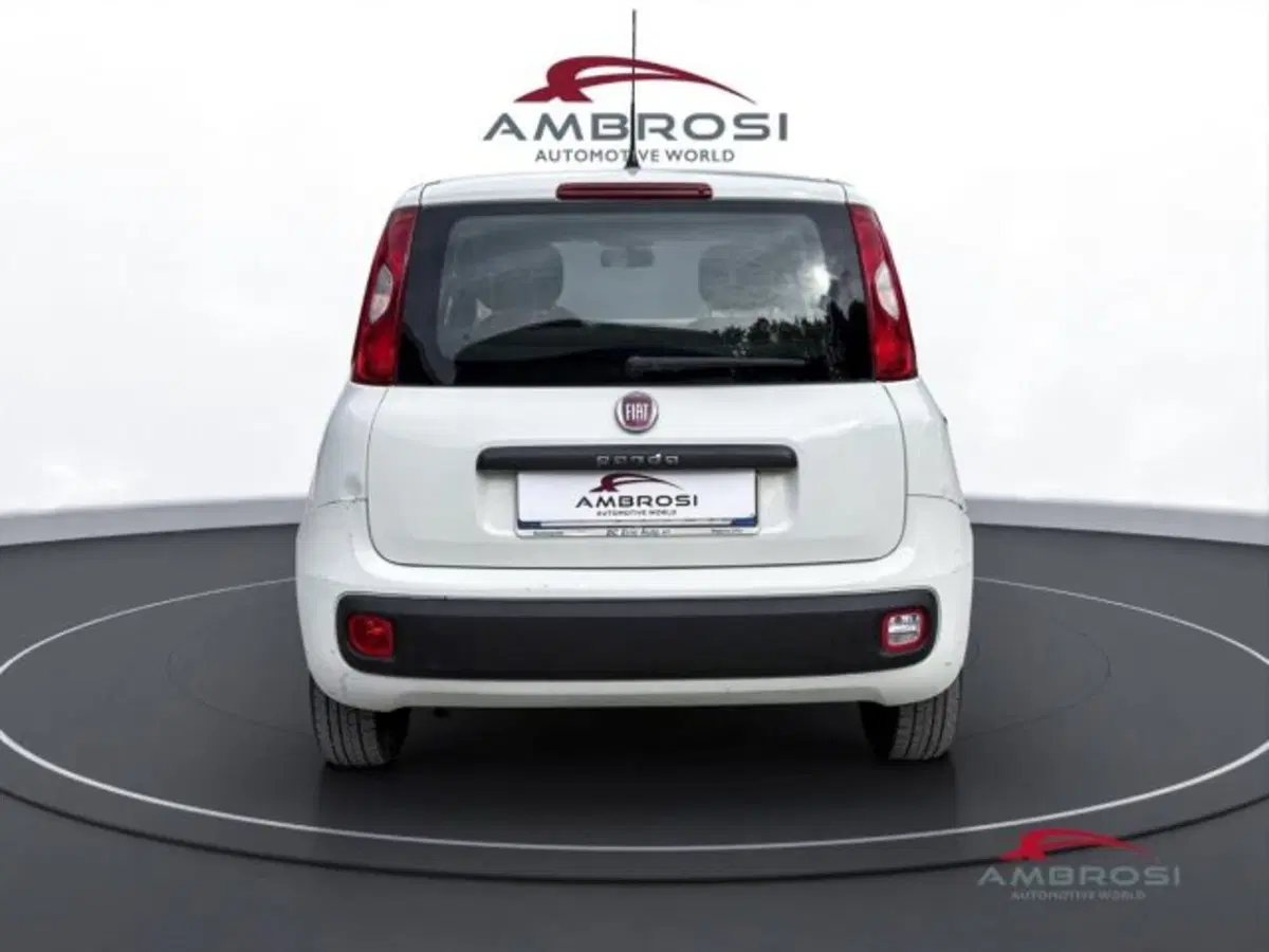 Fiat Panda usata a Perugia (8)