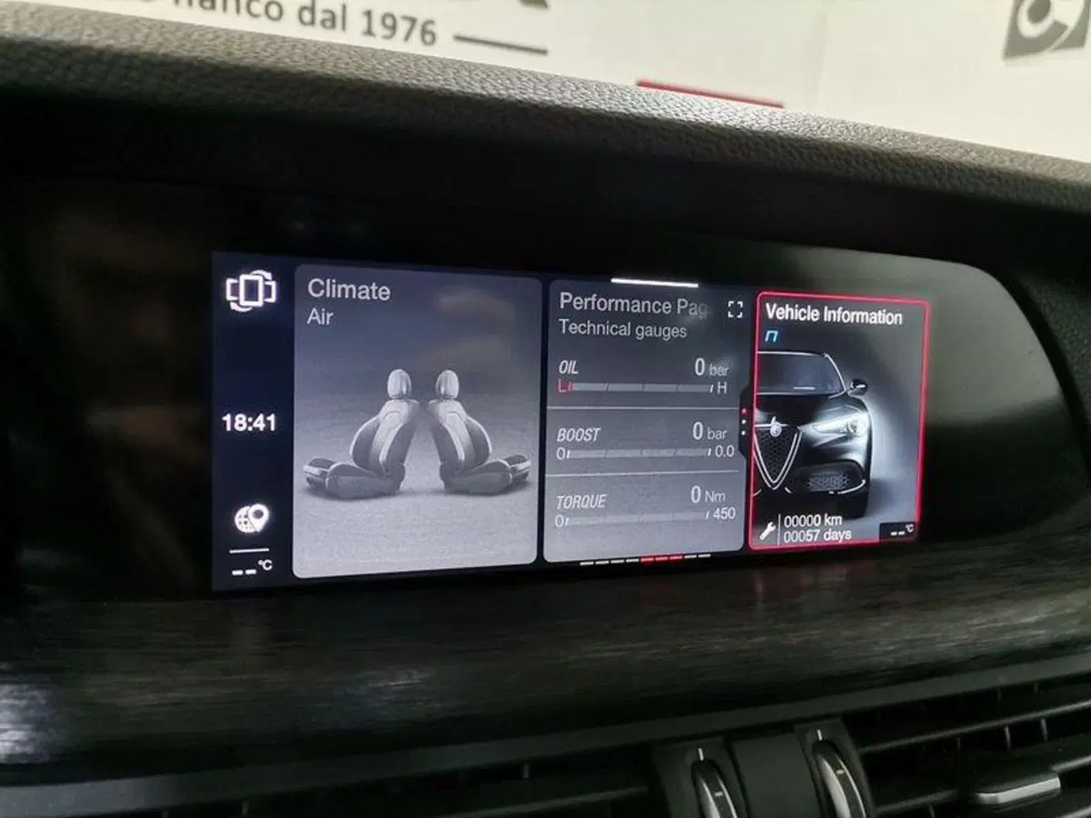 Alfa Romeo Stelvio usata a Salerno (15)