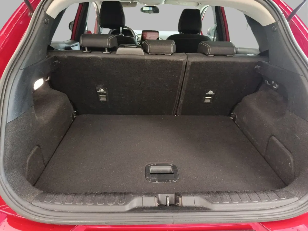 Ford Puma usata a Monza e Brianza (15)