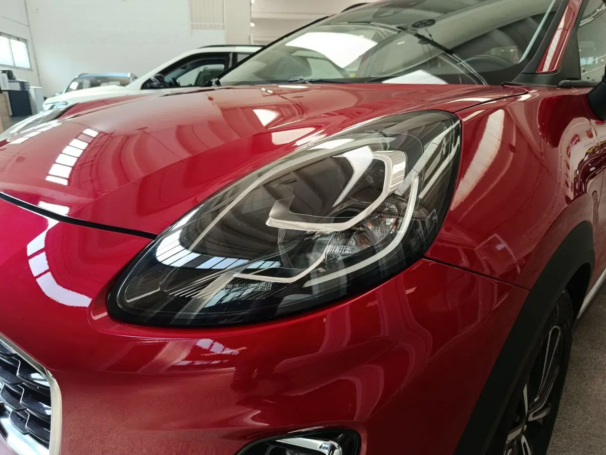 Ford Puma usata a Monza e Brianza (6)