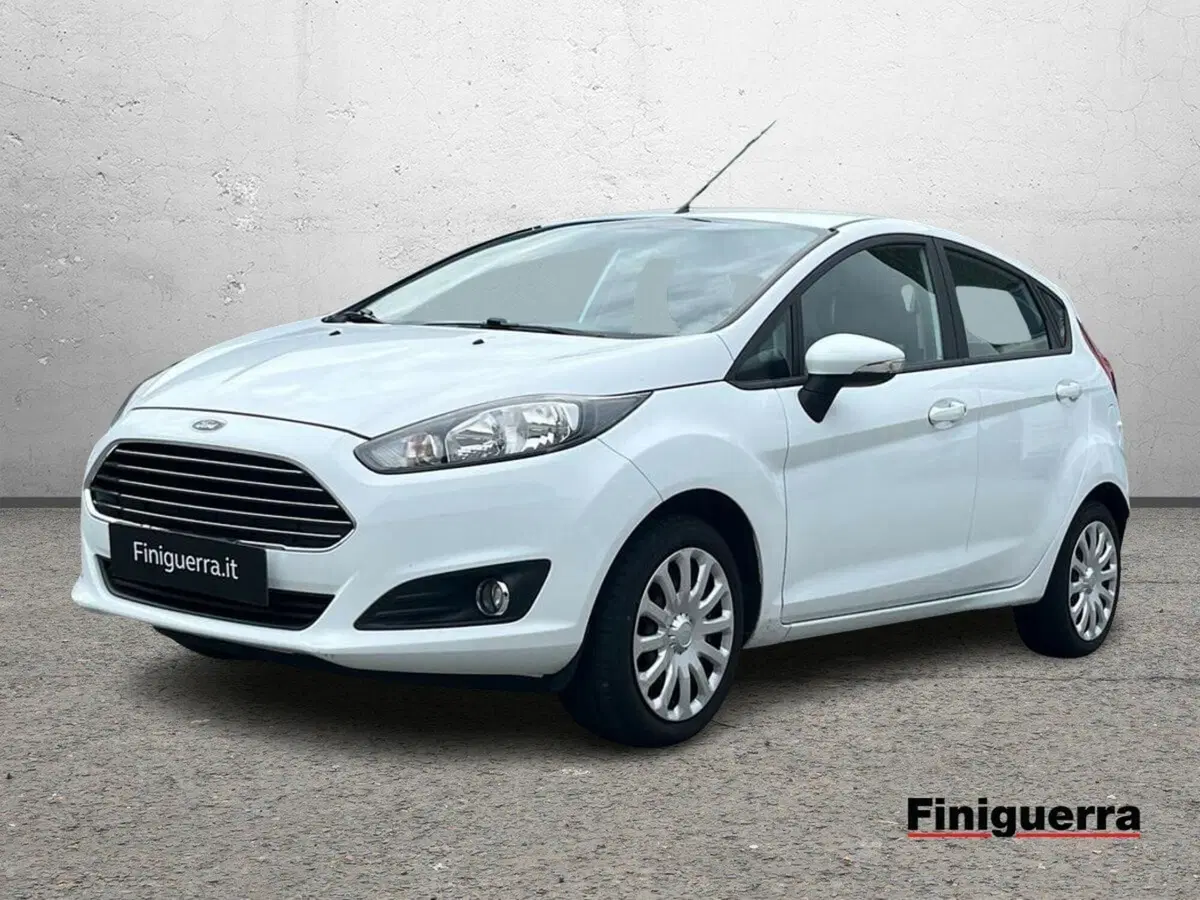 Ford Fiesta usata a Sondrio