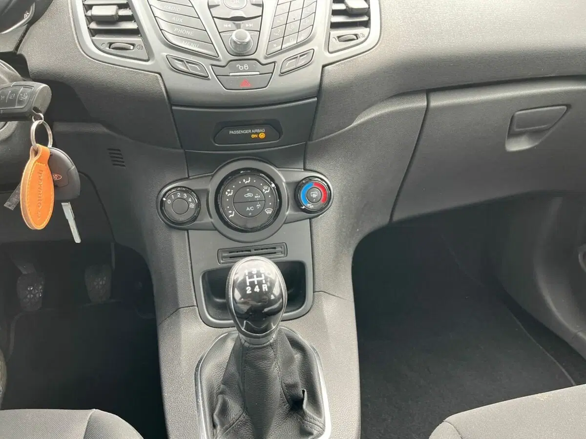Ford Fiesta usata a Sondrio (14)