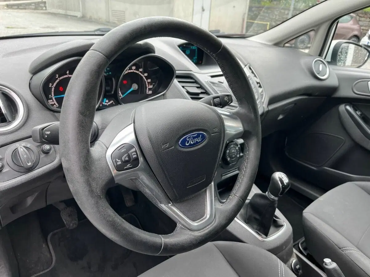 Ford Fiesta usata a Sondrio (15)