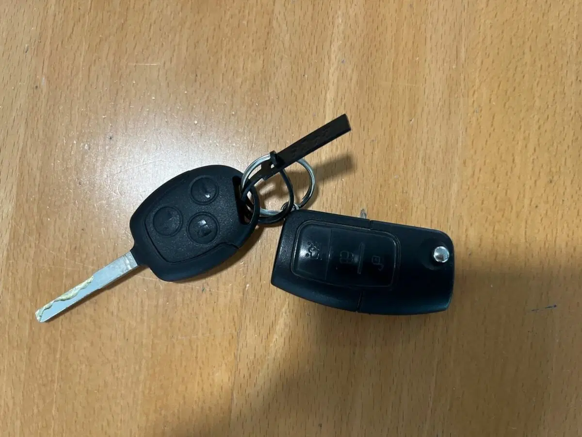 Ford Fiesta usata a Sondrio (16)