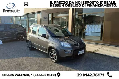 Fiat Panda 1.0 FireFly S&S Hybrid City Cross del 2022 usata a Casale Monferrato