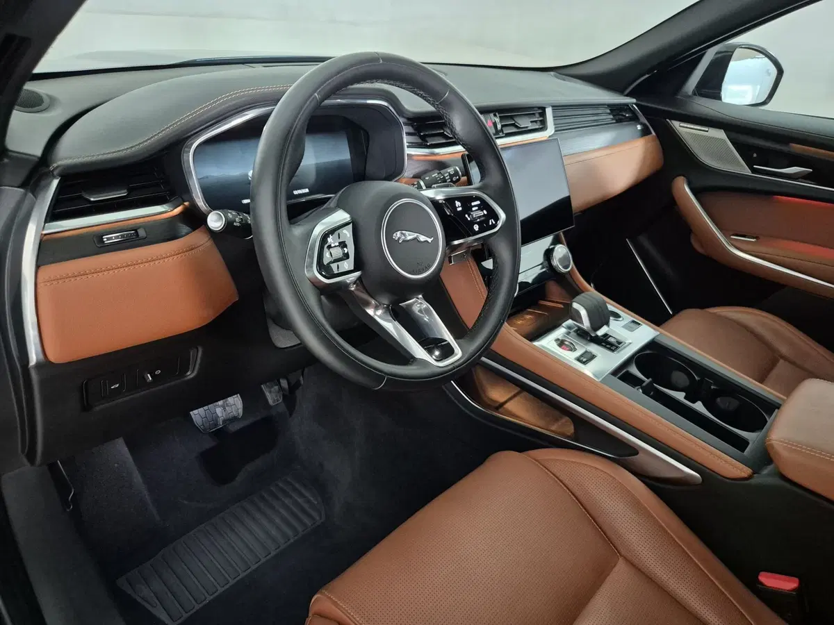 Jaguar F-Pace usata a Torino (15)