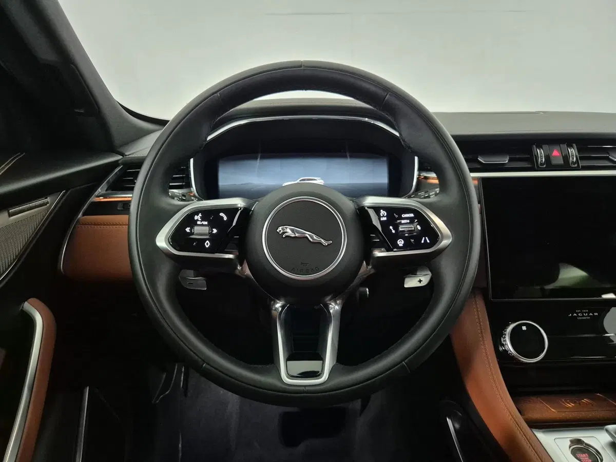 Jaguar F-Pace usata a Torino (18)