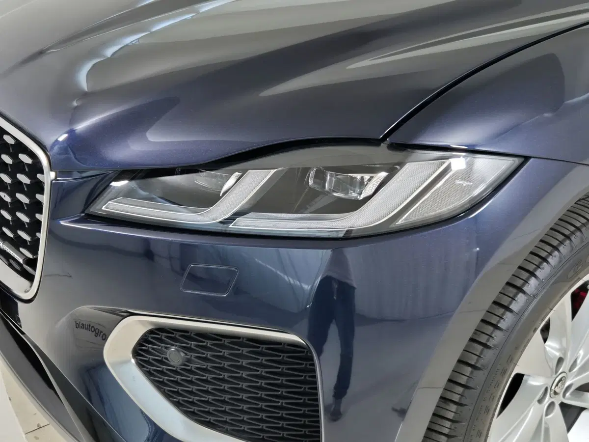 Jaguar F-Pace usata a Torino (19)