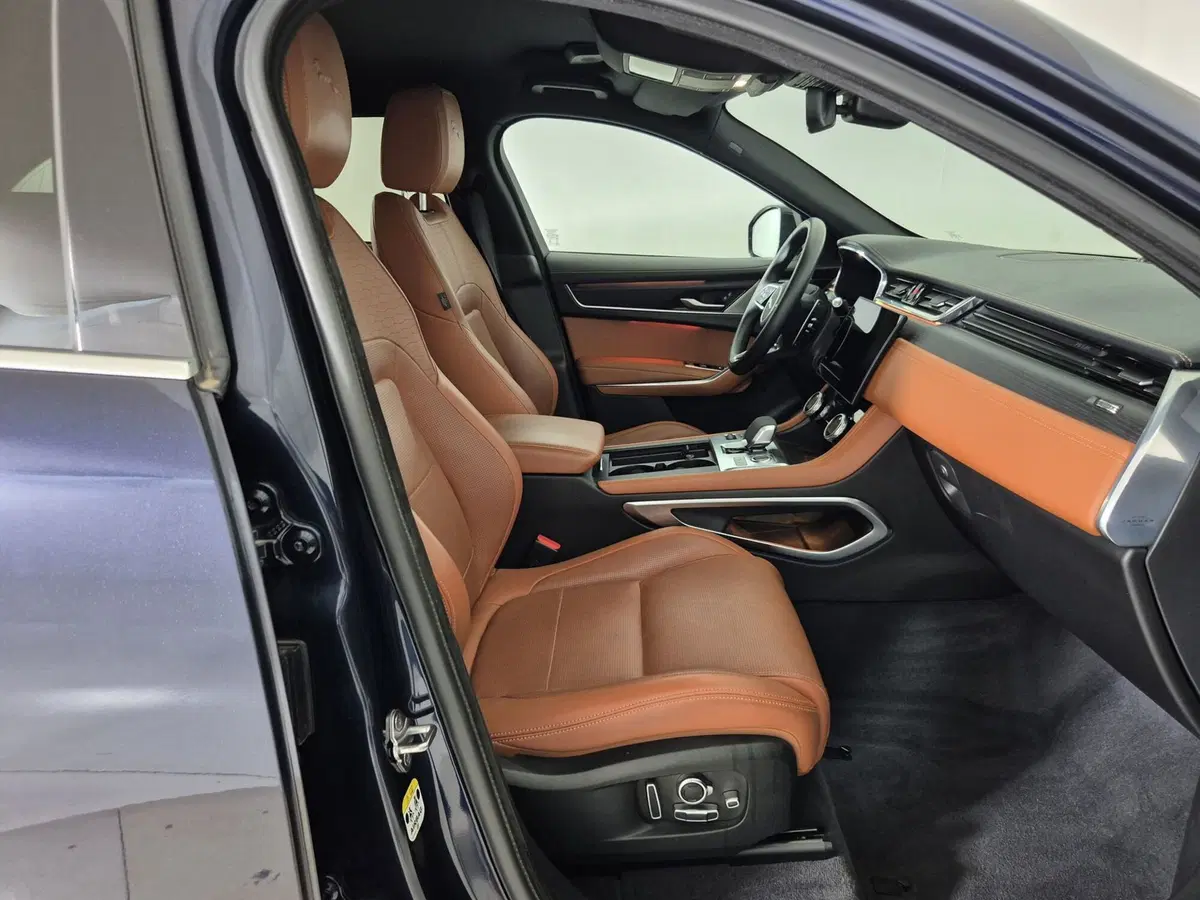 Jaguar F-Pace usata a Torino (3)