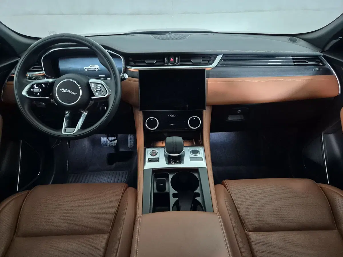 Jaguar F-Pace usata a Torino (4)