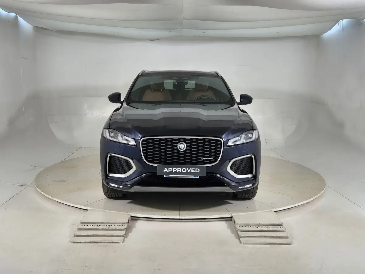 Jaguar F-Pace usata a Torino (8)