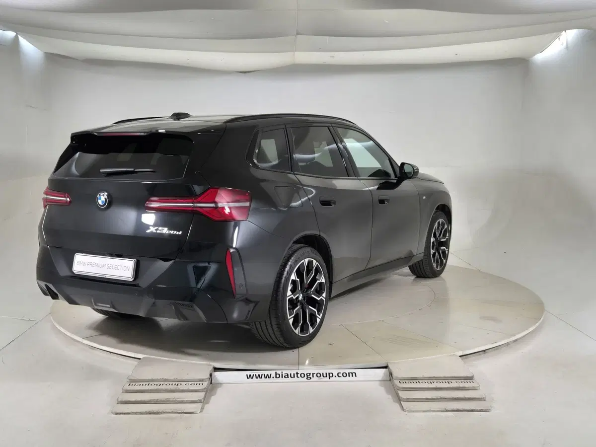 BMW X3 usata a Torino (4)