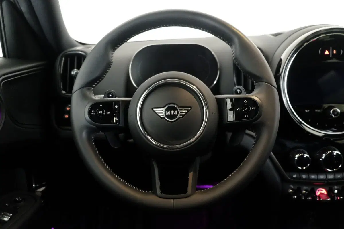 MINI Mini Countryman usata a Torino (19)