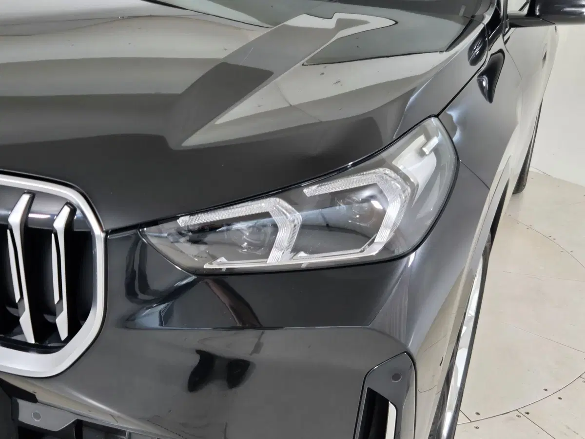 BMW X1 usata a Torino (20)
