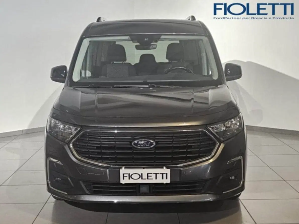 Ford Tourneo Connect usata a Brescia (3)