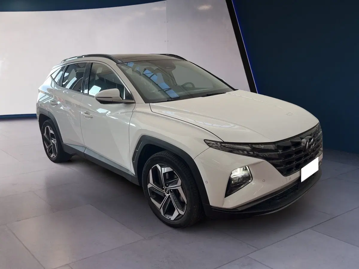Hyundai Tucson usata a Torino (2)