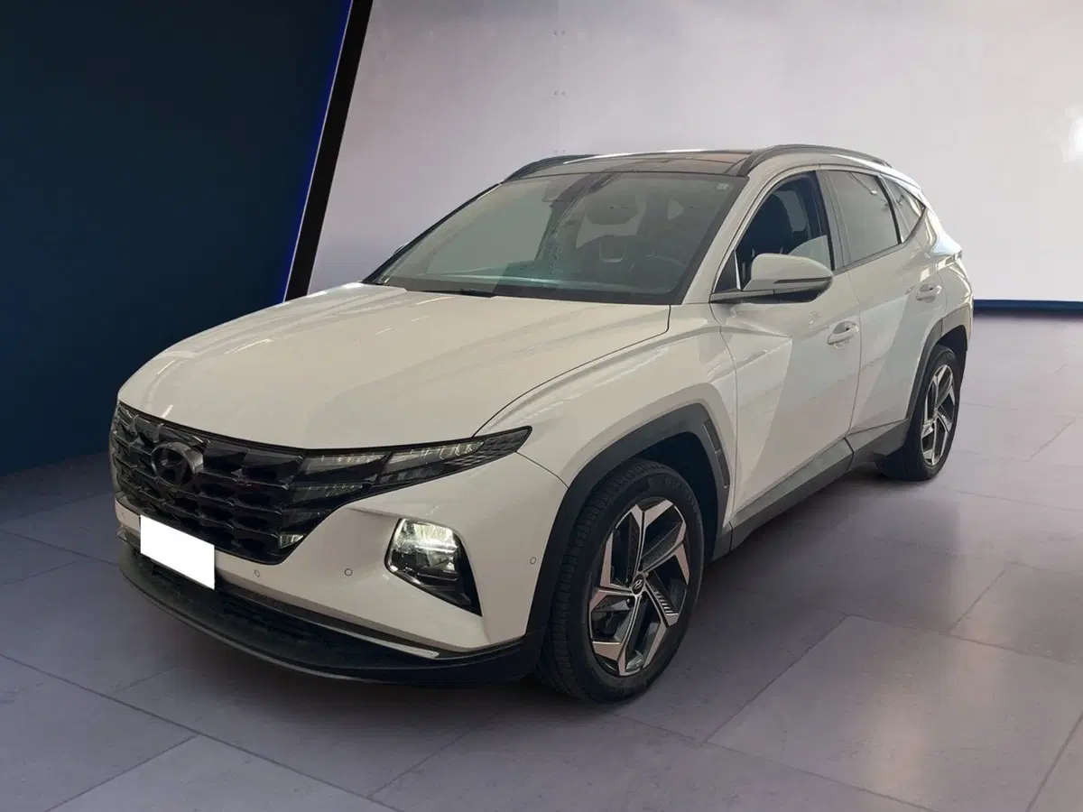 Hyundai Tucson usata a Torino (3)