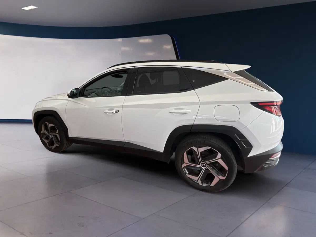 Hyundai Tucson usata a Torino (4)