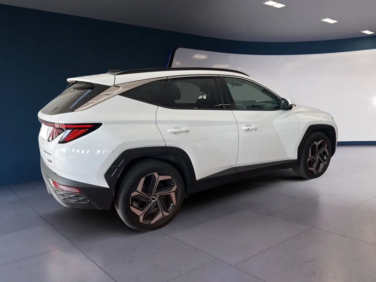 Hyundai Tucson usata a Torino (6)