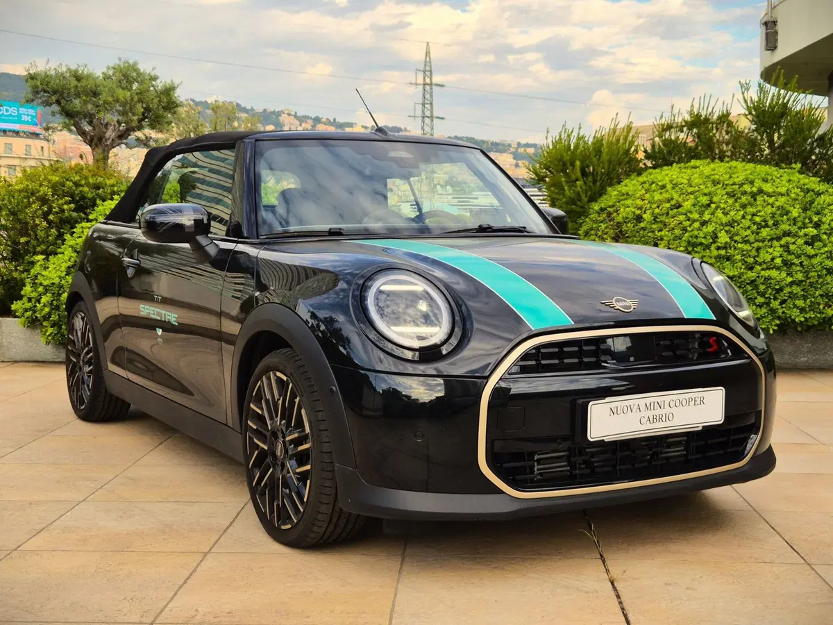 MINI Mini Cabrio usata a Genova (17)