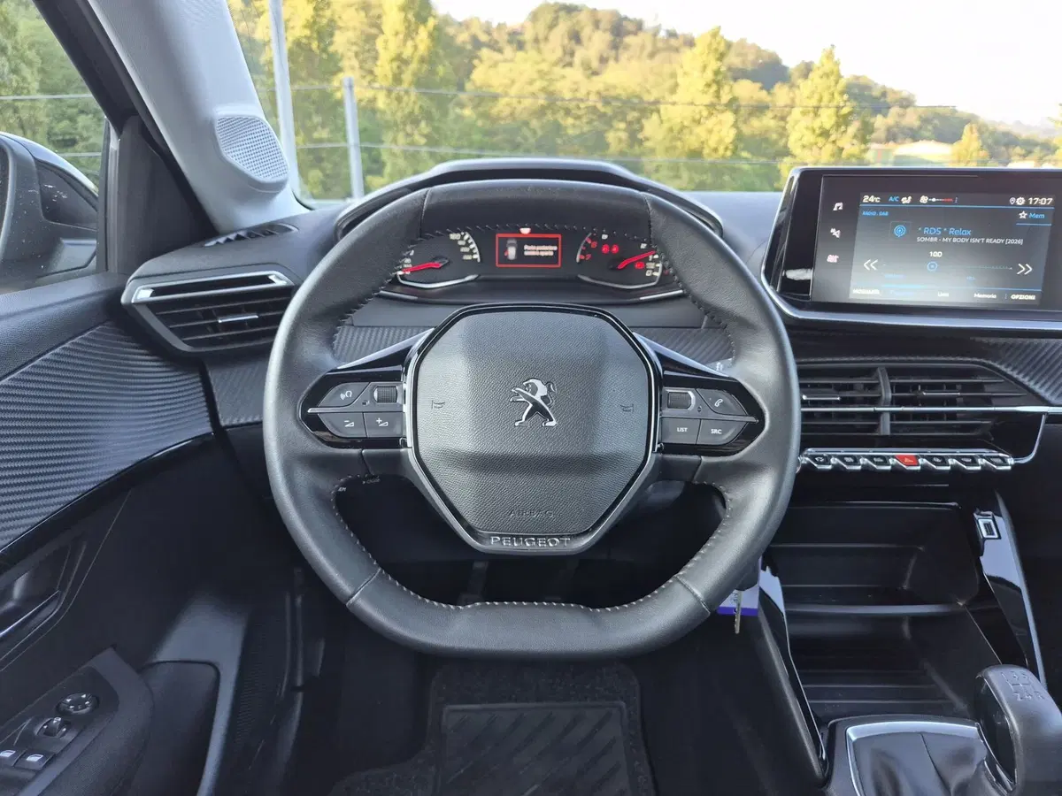 Peugeot 208 usata  (15)