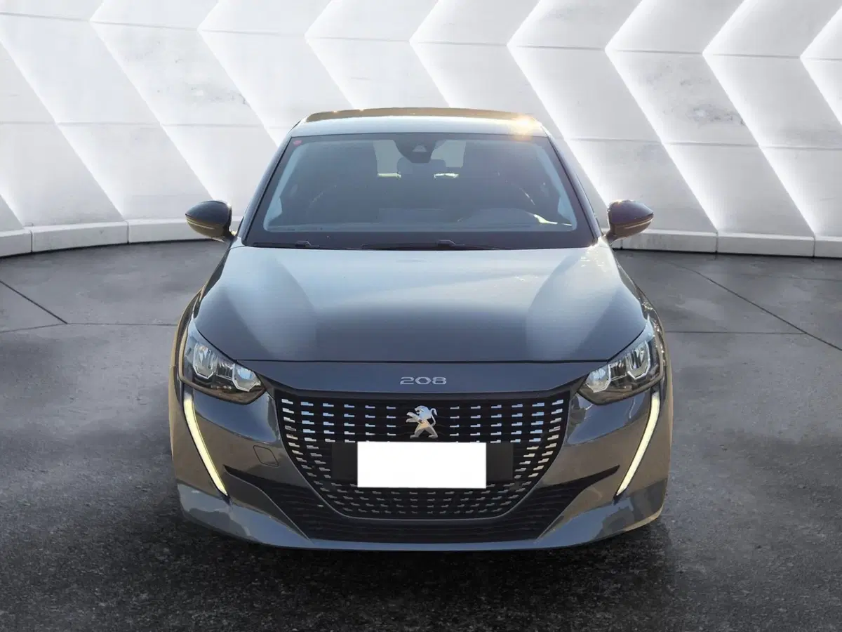 Peugeot 208 usata  (2)