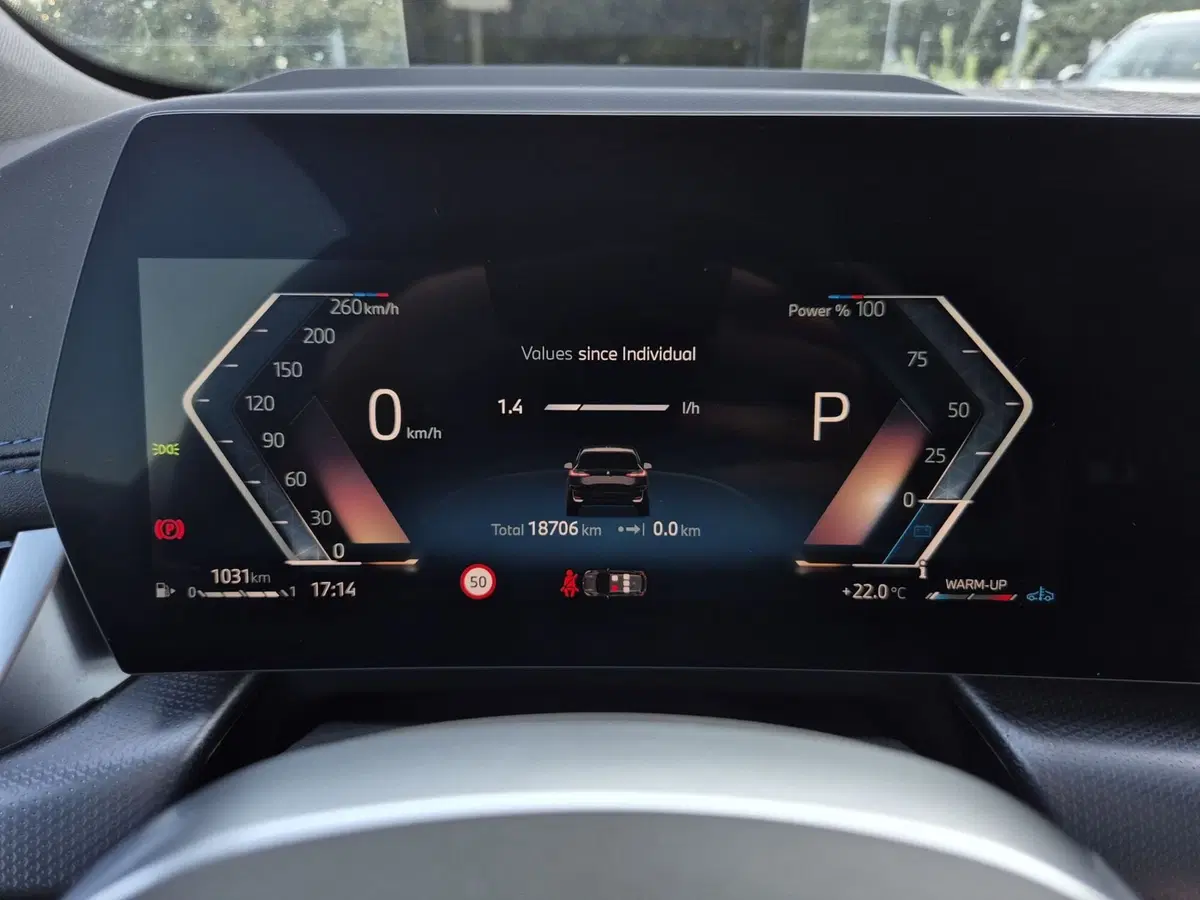BMW Serie 2 Active Tourer usata  (14)