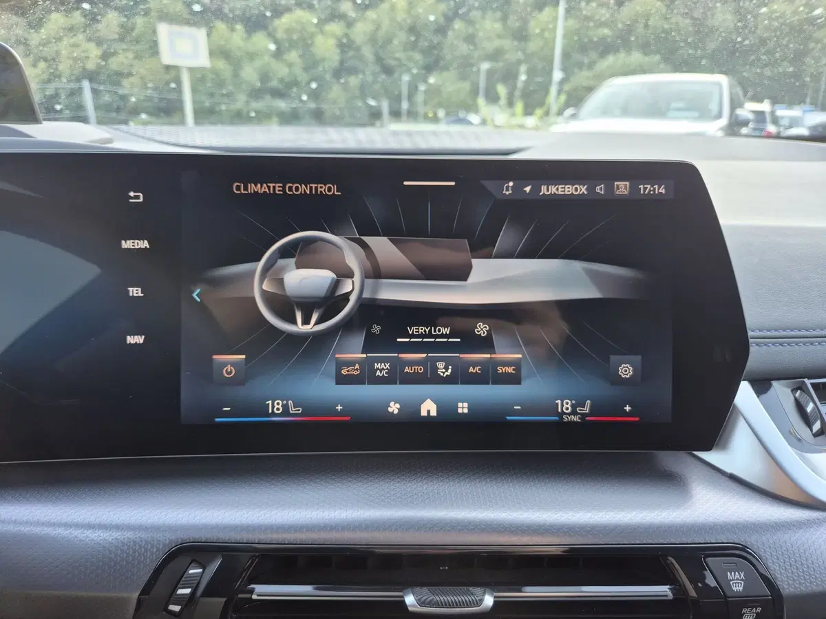 BMW Serie 2 Active Tourer usata  (20)
