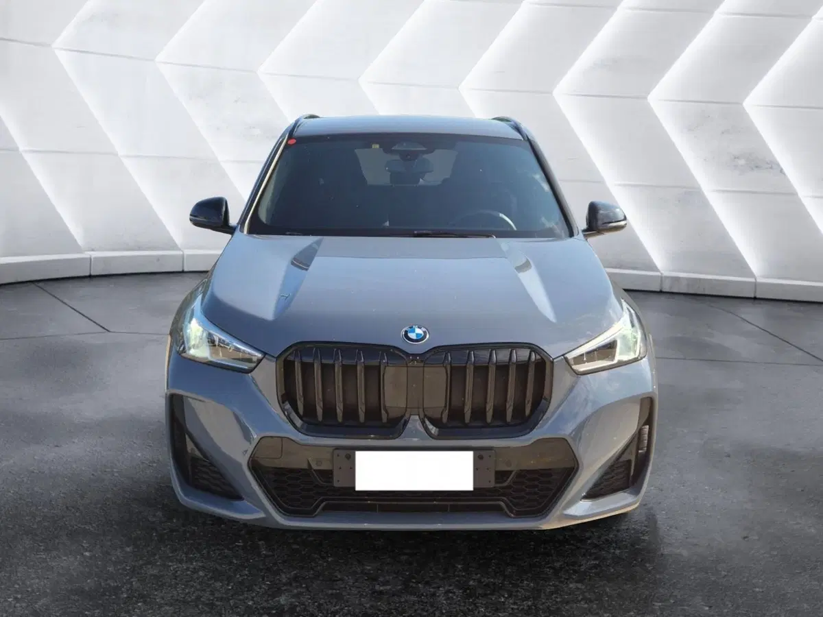 BMW X1 usata  (2)