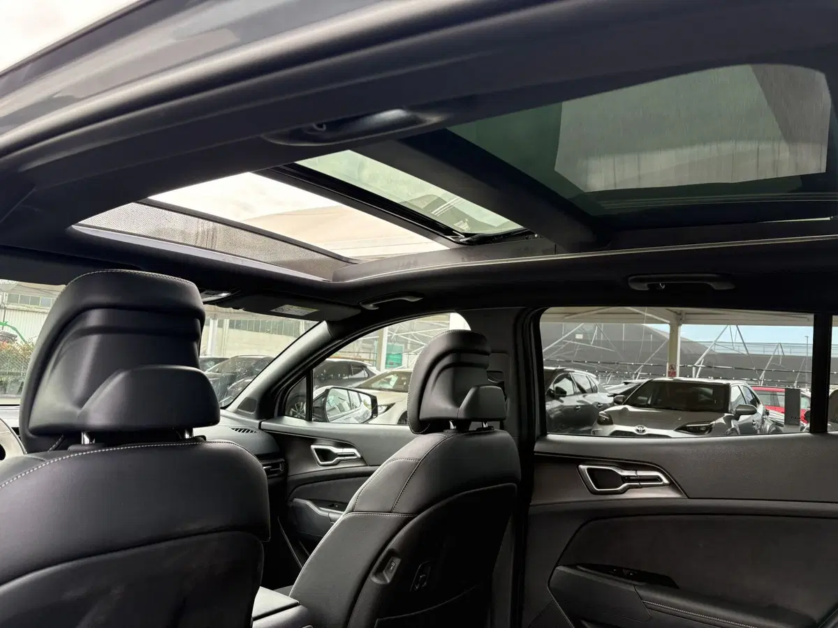 Kia Sportage usata a Treviso (12)