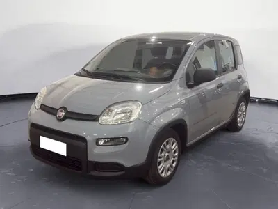 Fiat Panda Cross Cross 1.0 FireFly S&S Hybrid del 2022 usata a Agrigento