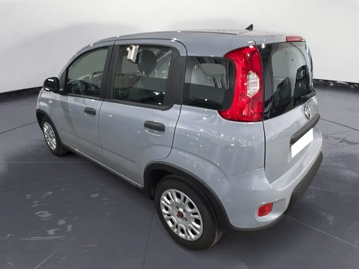 Fiat Panda Cross usata a Agrigento (3)