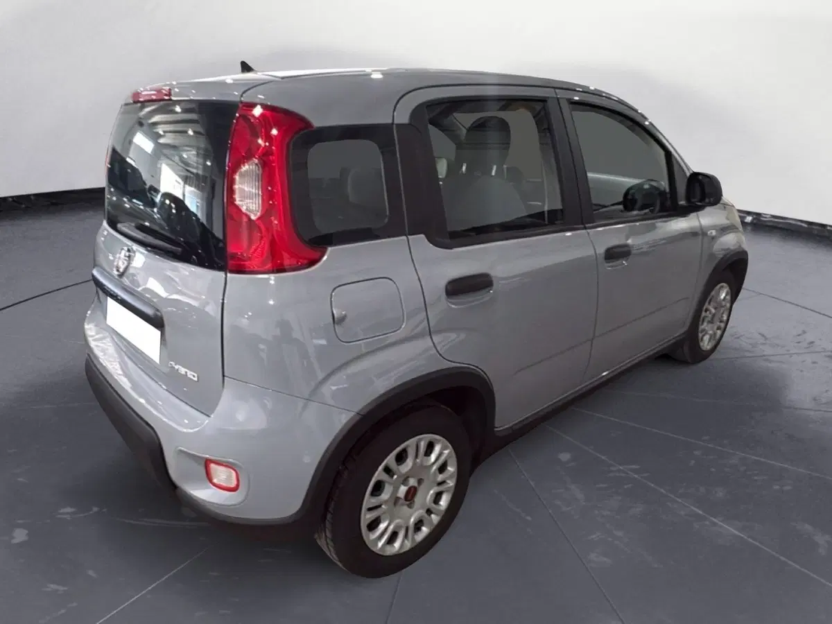 Fiat Panda Cross usata a Agrigento (6)