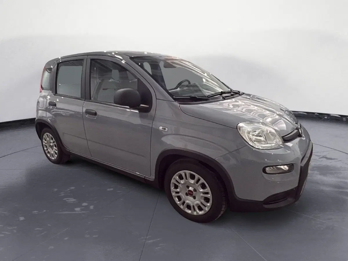 Fiat Panda Cross usata a Agrigento (8)