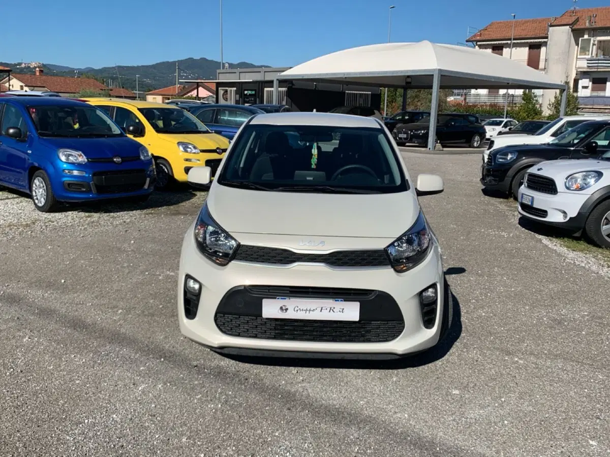 Kia Picanto usata a La Spezia (2)