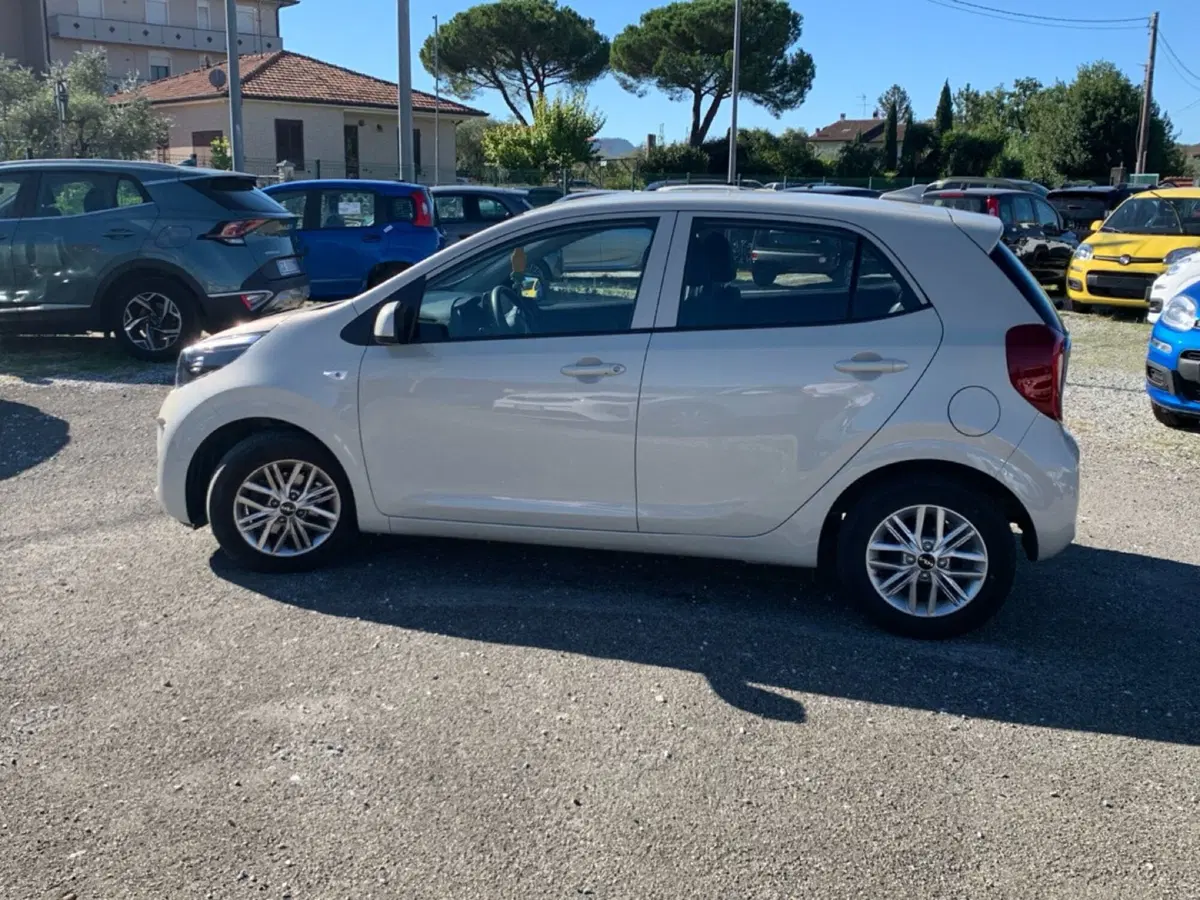 Kia Picanto usata a La Spezia (3)