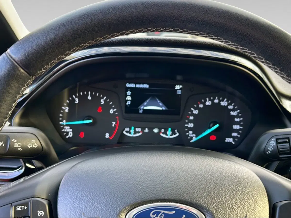 Ford Fiesta usata a Livorno (10)