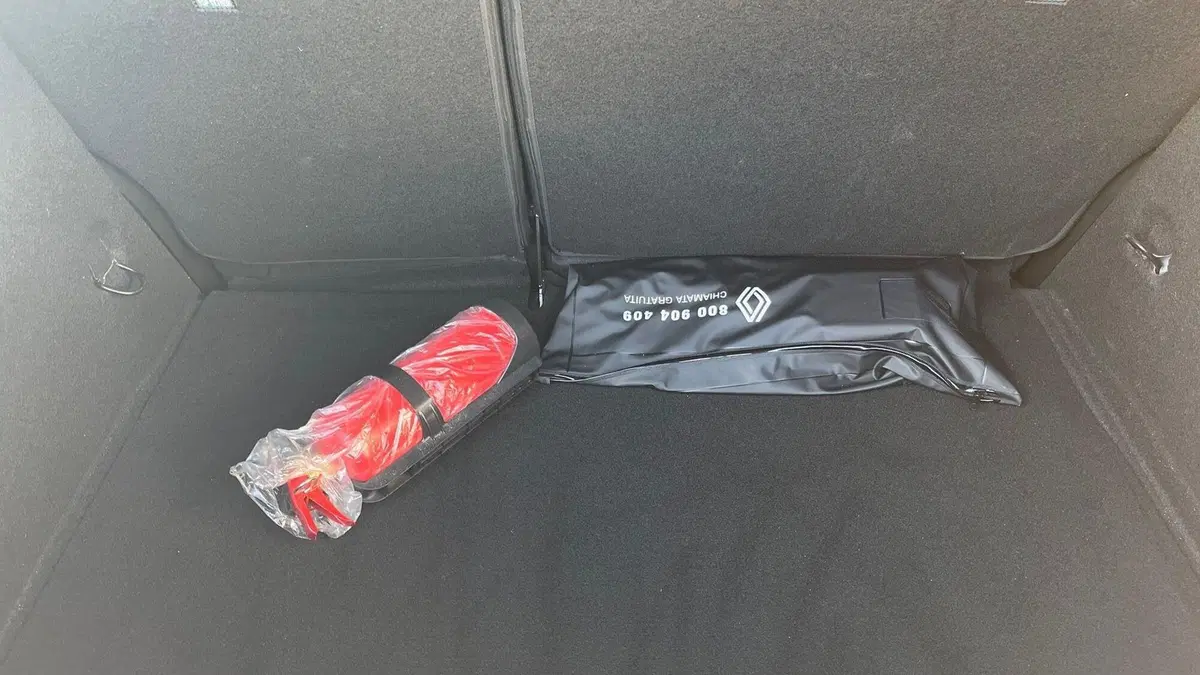 Renault Clio usata a Parma (17)