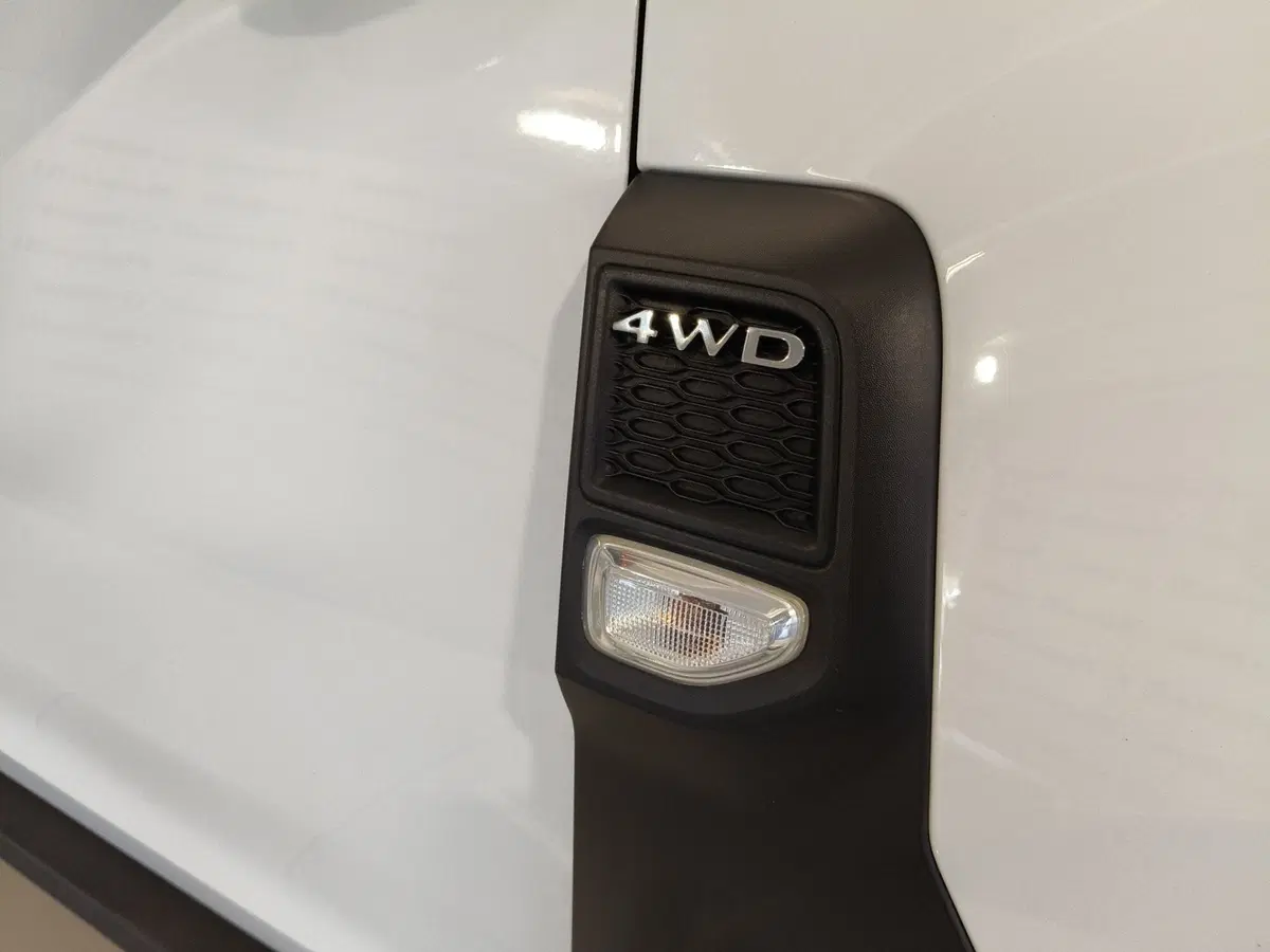 Dacia Duster usata a Brescia (17)