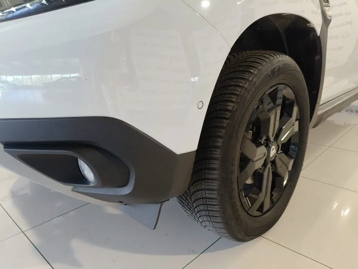 Dacia Duster usata a Brescia (19)