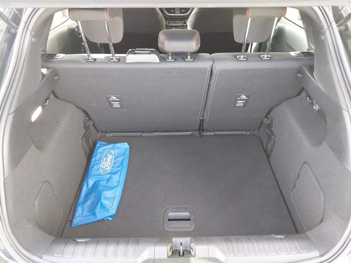 Ford Puma usata a Treviso (14)