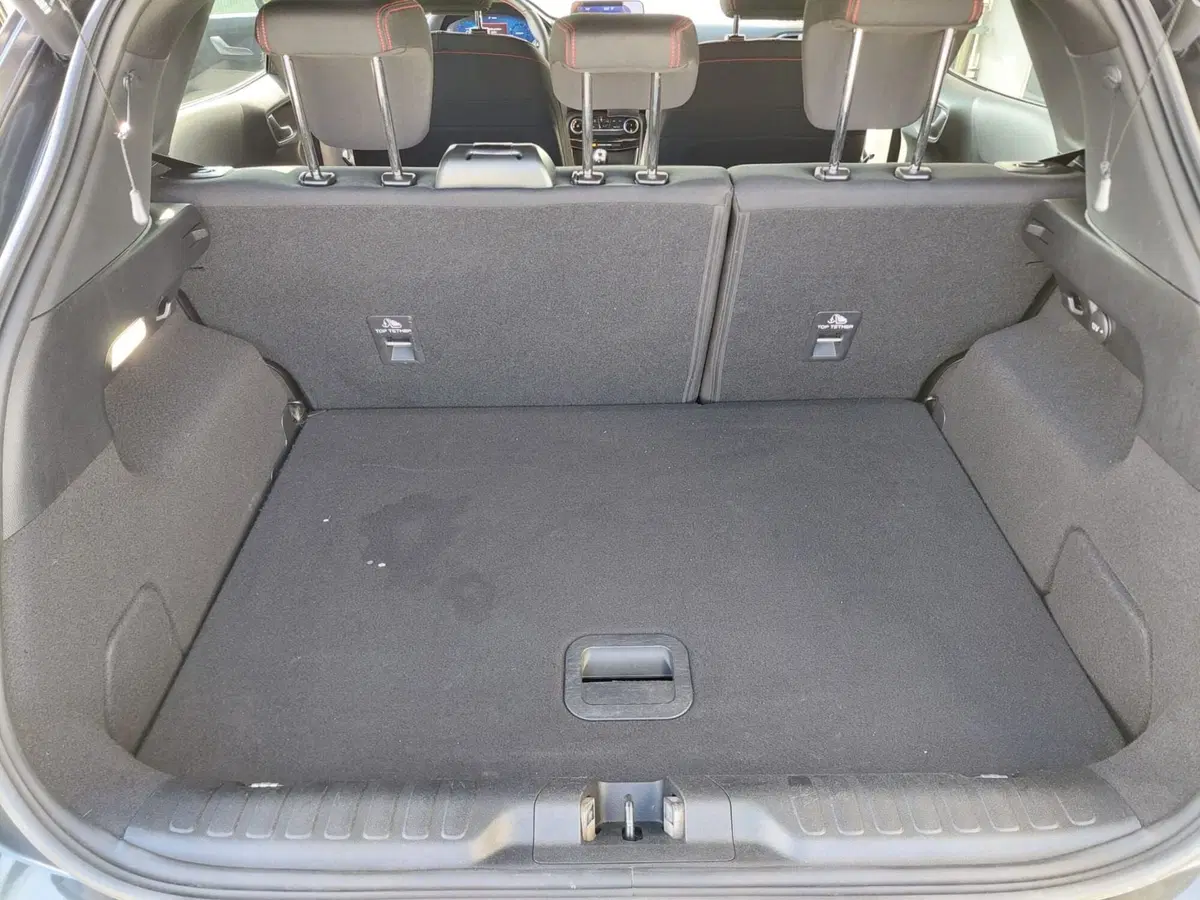 Ford Puma usata a Treviso (13)