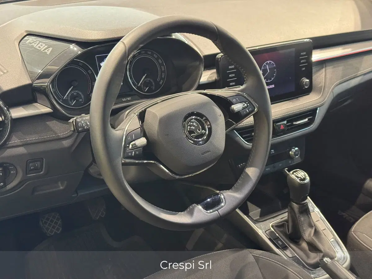 Skoda Fabia usata a Varese (11)