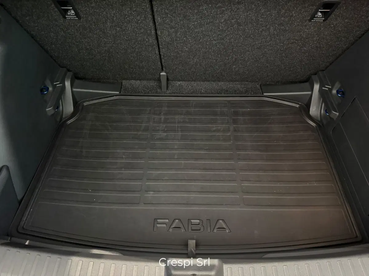 Skoda Fabia usata a Varese (18)