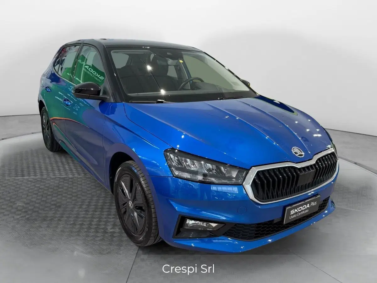 Skoda Fabia usata a Varese (2)