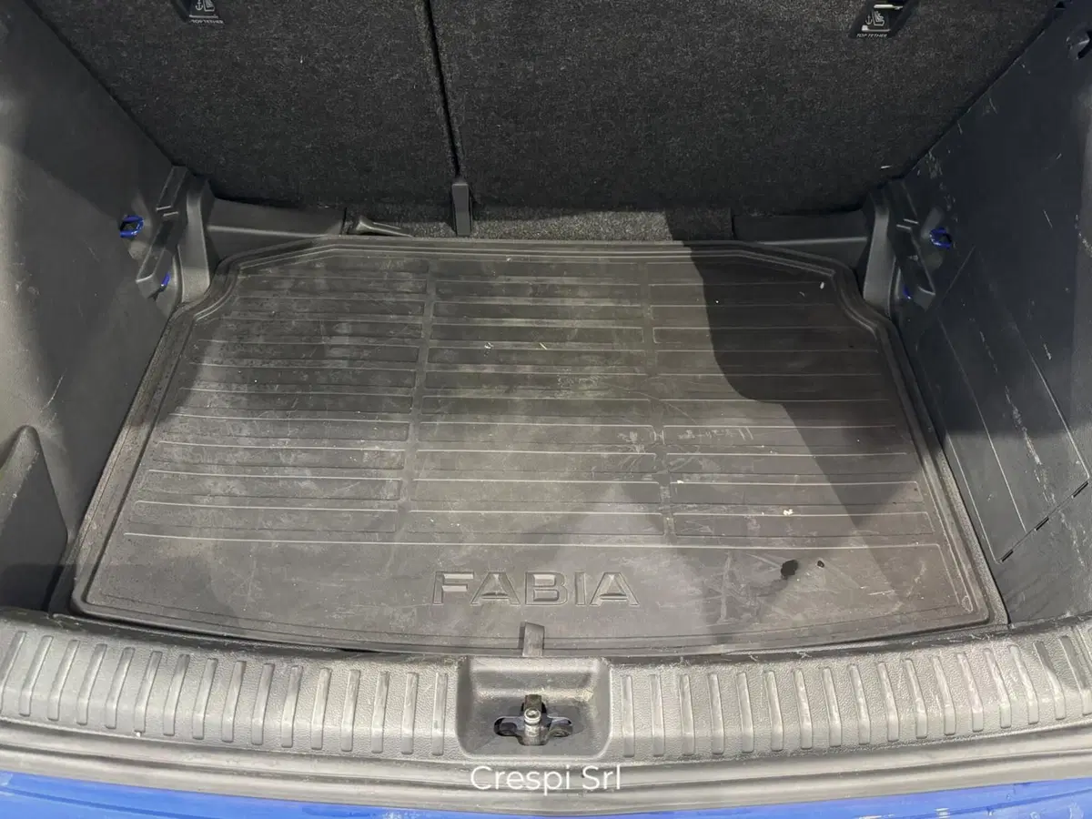 Skoda Fabia usata a Varese (18)