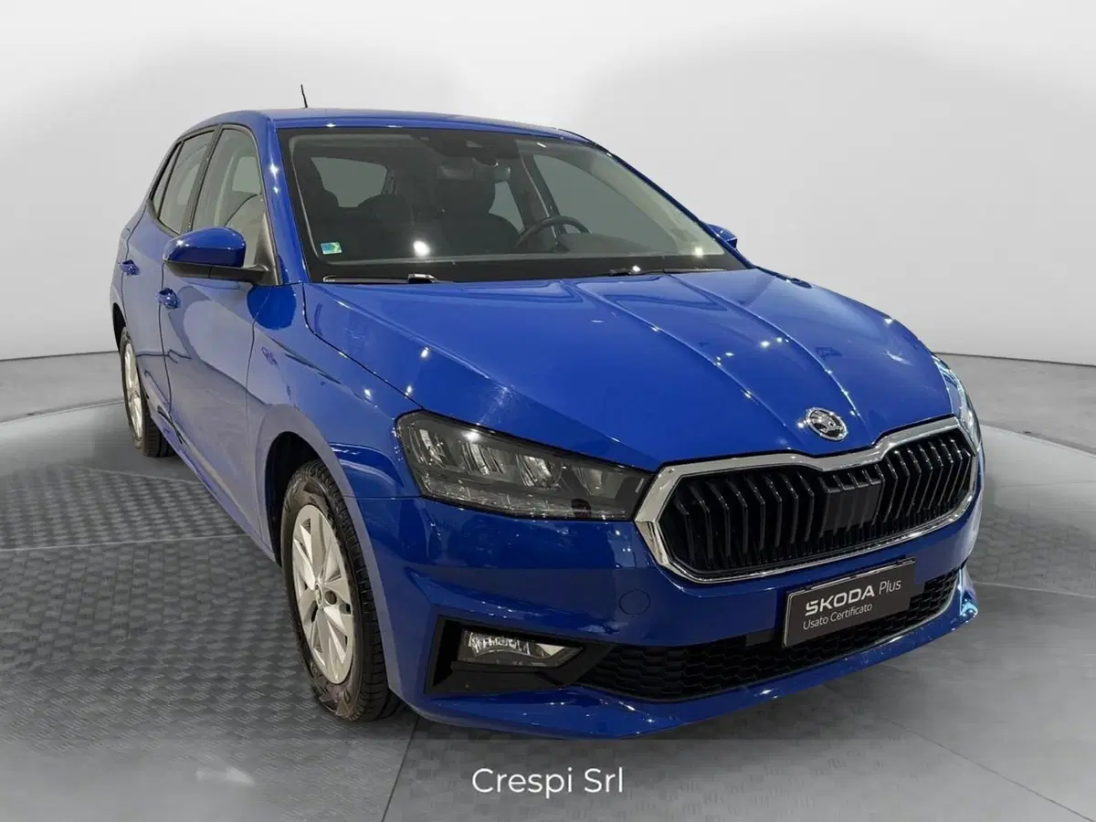 Skoda Fabia usata a Varese (2)